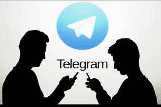 До 300 подписчиков на Ваш канал Телеграмм