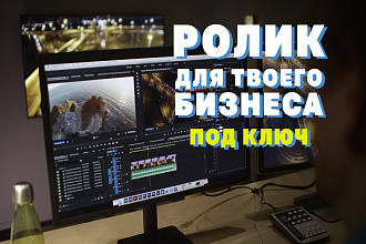 Ролик с проф. озвучкой + сценарий