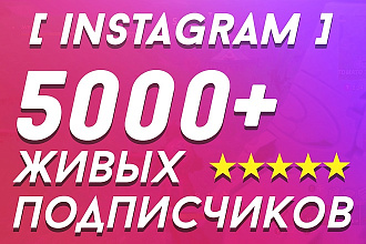 +5000 живых подписчиков в Instagram