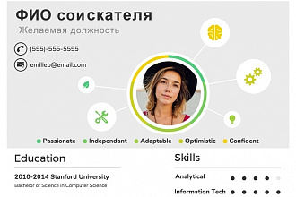 Резюме в стиле инфографики