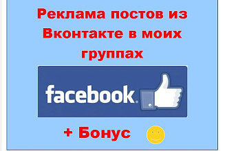 Реклама Вконтакте Фейсбук - Продублирую Ваш пост в больших группах