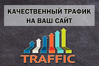 Качественный трафик. 6000 посетителей
