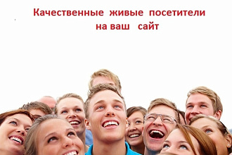 Живой трафик на Ваш сайт. От 20 до 100 живых посетителей в день