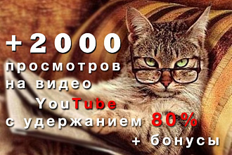 Сделаю 2000 просмотров (с удержанием 70-90%) на ваше видео в YouTube