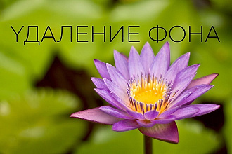 Обтравка изображения