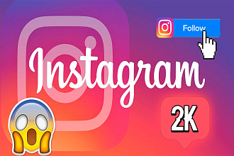 +2000 подписчиков в instagram