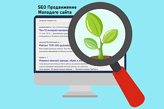 SEO-продвижение молодого сайта в 2020 году