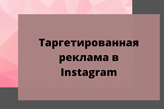 Таргетированная реклама в Instagram ниша сетевой