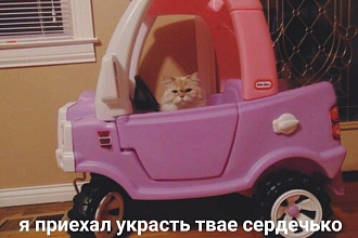 Напишу портрет