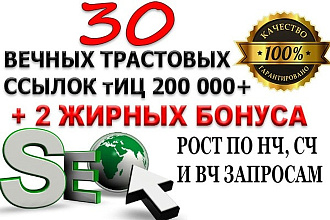30 качественных ссылок на Ваш сайт + 2 жирных бонуса