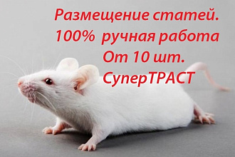 Размещение статей. 100% ручная работа. Детальный отчёт