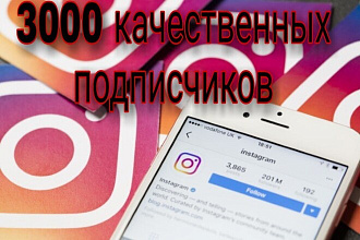 3000 подписчиков Инстаграм