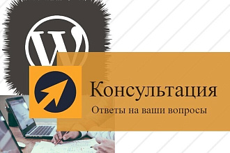 Консультация по сайту на Wordpress