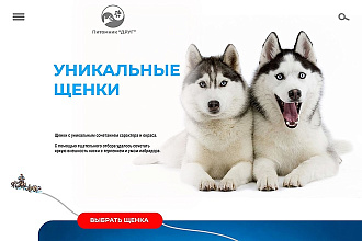 Дизайн лендинга
