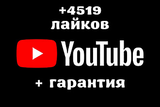 +4519 лайков к видео на ваш YouTube канал