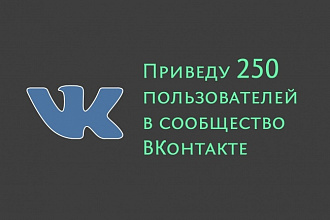 Приведу 250 человек в сообщество ВКонтакте