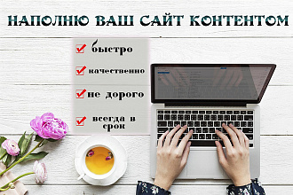 Наполню Ваш сайт контентом