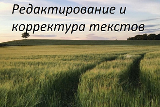 Редактирование и корректура текста