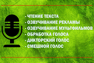 Озвучка текста для рекламы, видеоролика, голосовое приветствие