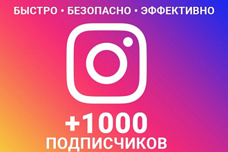 Подписчики в Инстаграм за один день. 1000 подписчиков