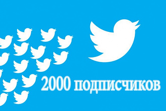 2000 подписчиков twitter + лайки и ретвиты
