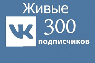 300 качественных подписчиков или друзей ВК без ботов и программ