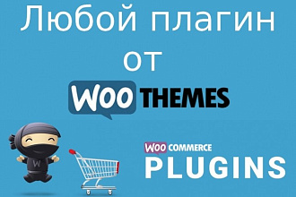 Любой плагин для Woocommerce от официального разработчика