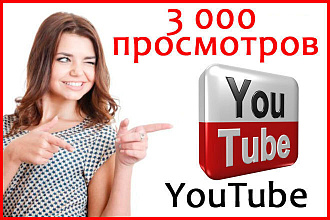 3000 реальных качественных просмотров + бонусы