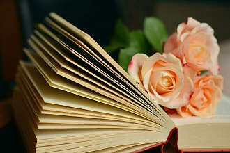 Напишу сюжет для книги или фанфика