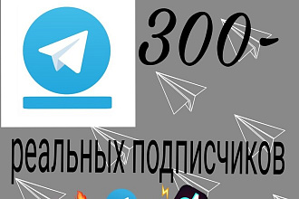 300 реальных подписчиков