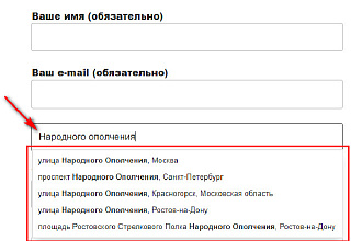 Встрою скрипт подсказки адреса, фио, емайл, реквизитов на ваш сайт