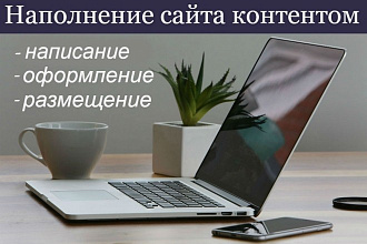Напишу и размещу статью на вашем сайте. SEO-копирайтинг до 3000 збп