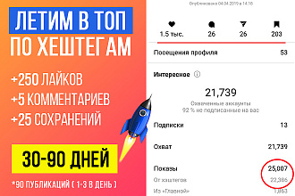 250 лайков, 25 сохранений, 5 комментариев, 90 будущих постов