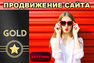 Продвижение сайта 1 запрос с соц. постами и статьи
