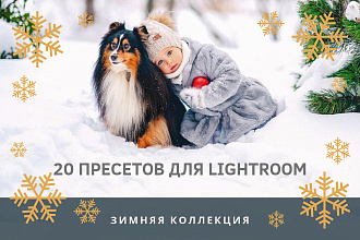 20 зимних пресетов для Lightroom от фотографа AnotherLook