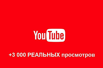 +3000 реальных просмотров на YouTube