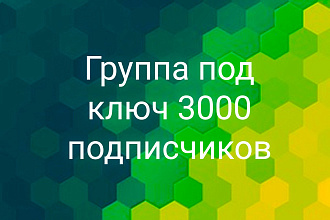 Группа под ключ, 3000 подписчиков на любую тематику, репосты