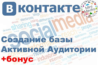 Создание базы АУ и ПП для рекламной рассылки vk.com + Бонус