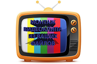 Ритмичный ролик из ваших фото и видео по цене 1 К