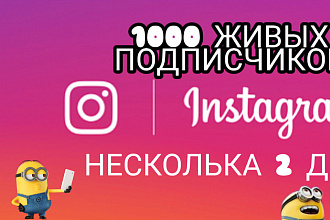 Живых подписчиков сто процент гарантия