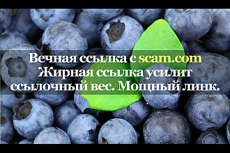 Полезная и крутая ссылка с площадки scam.com