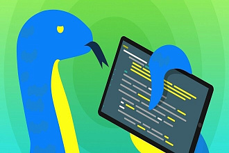 Разработка программ и скриптов на Python