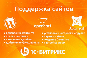 Поддержка сайтов на CMS и без