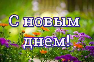 Напишу смешные истории, в формате стендап