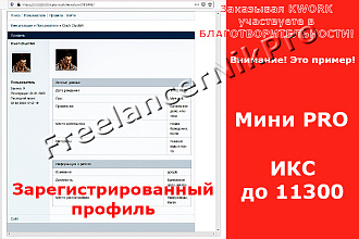 Продвижение сайта методом регистрации профилей по тарифу Мини PRO