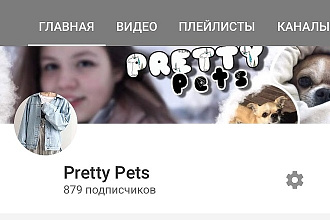 Реклама вашего товара, канала в своём видео на YouTube в течение 2 мин