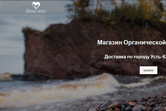 Создам логотип для сайта