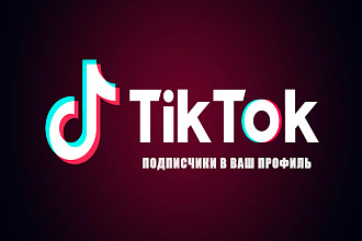 Увеличение подписчиков TikTok