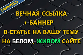 Вечная ссылка + баннер в статье на вашу тему, на трастовом сайте