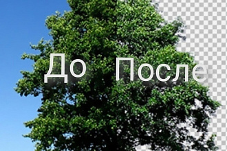 Удаление заднего фона